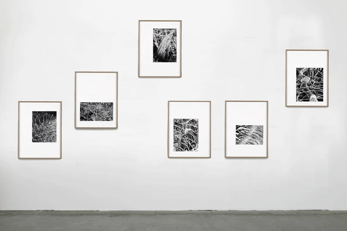 Oeuvres au fusains de Fabrice Cazenave