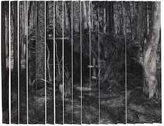 Louise Vendel, Fusain sur papier, rail métallique