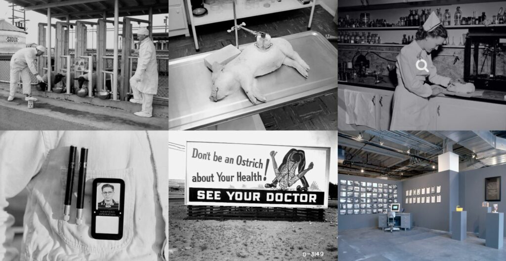 Oeuvre de Kim Stringfellow