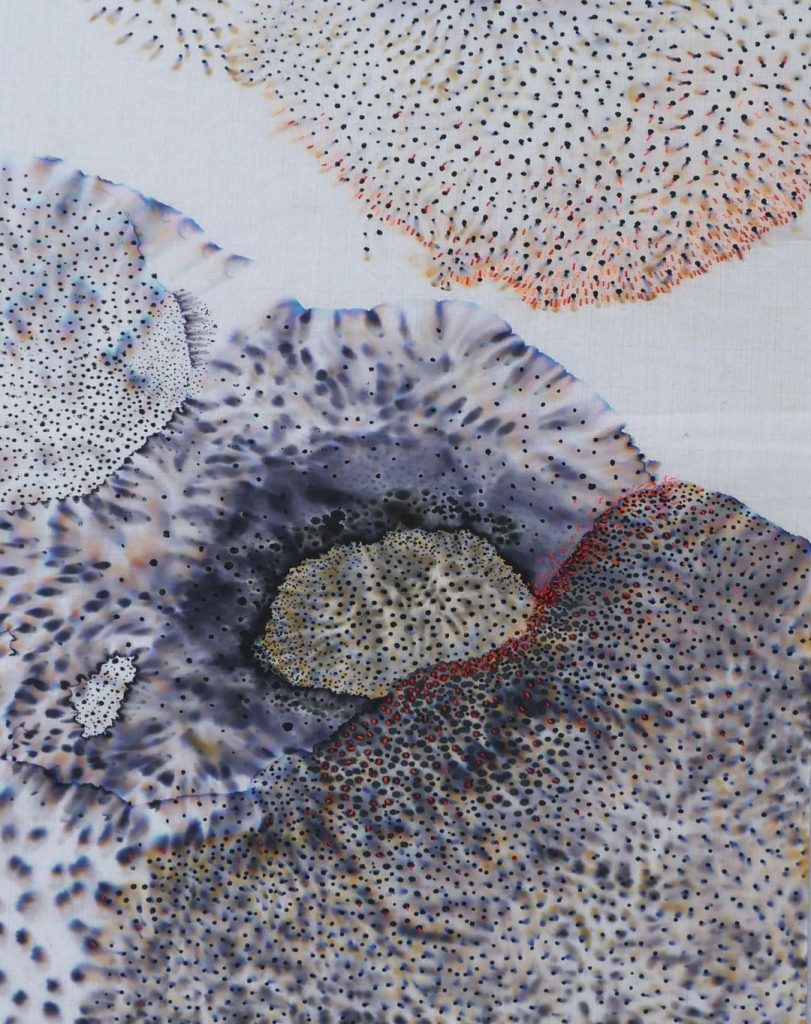 Sabatina Leccia - oeuvre