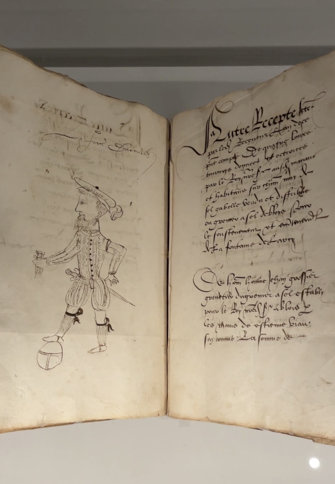 Caricature Francois 1er