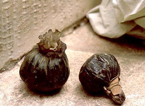 Prémices de la peinture en plein air