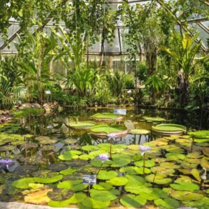 Verriere du parc de la tête d'or