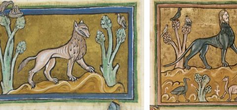 Bestaire, les animaux chelous