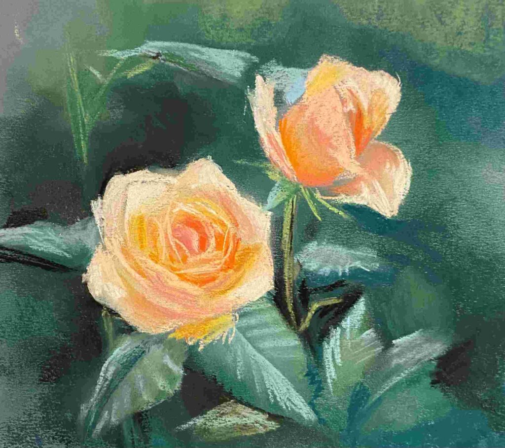 dessiner des roses au pastels secs