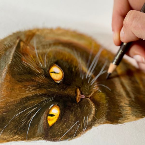 ingrid-winkler-600x600-1 ingrid-winkler-600x600-1